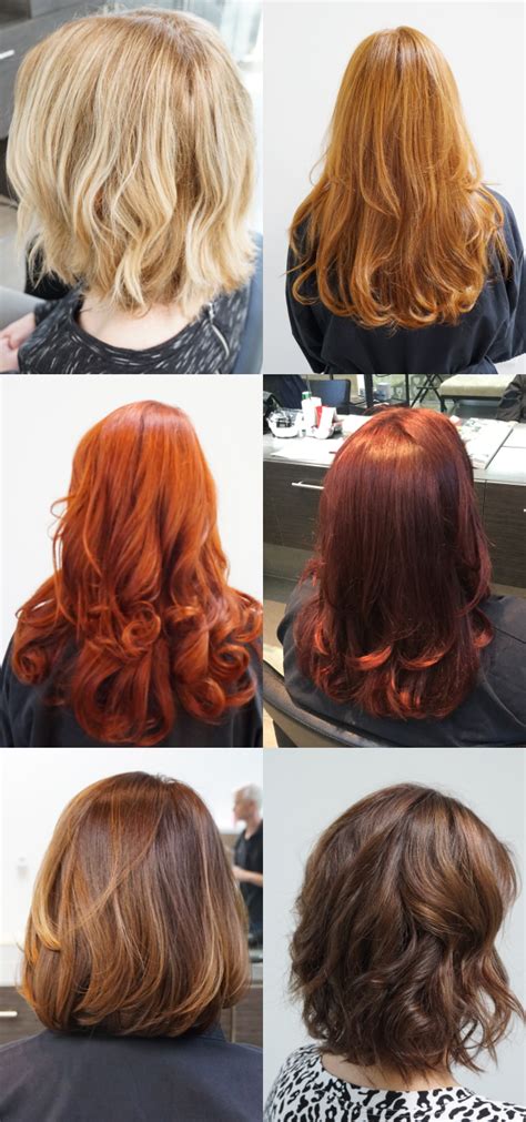 esalon hair color|More.